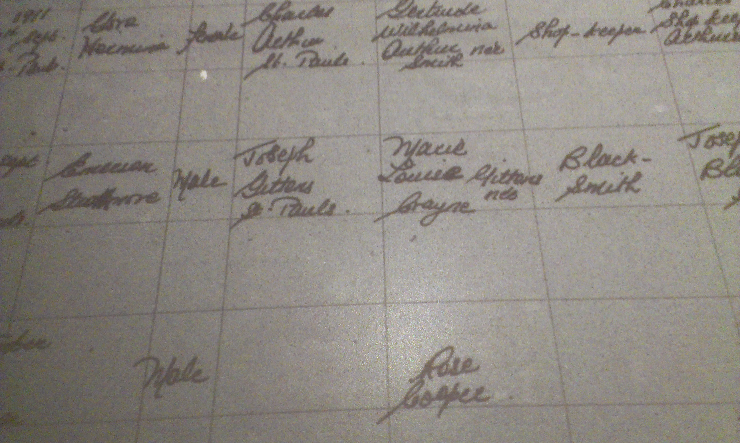 IMAG0268.jpg