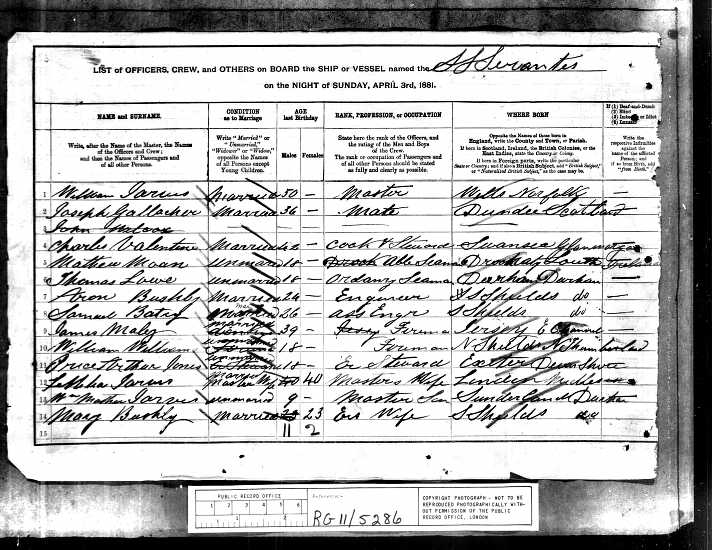 Jarvis_dowler_census_1881.jpg