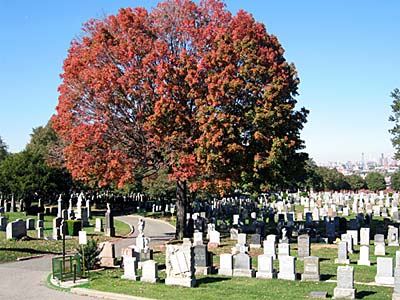 linden-hill-cemetery.jpg