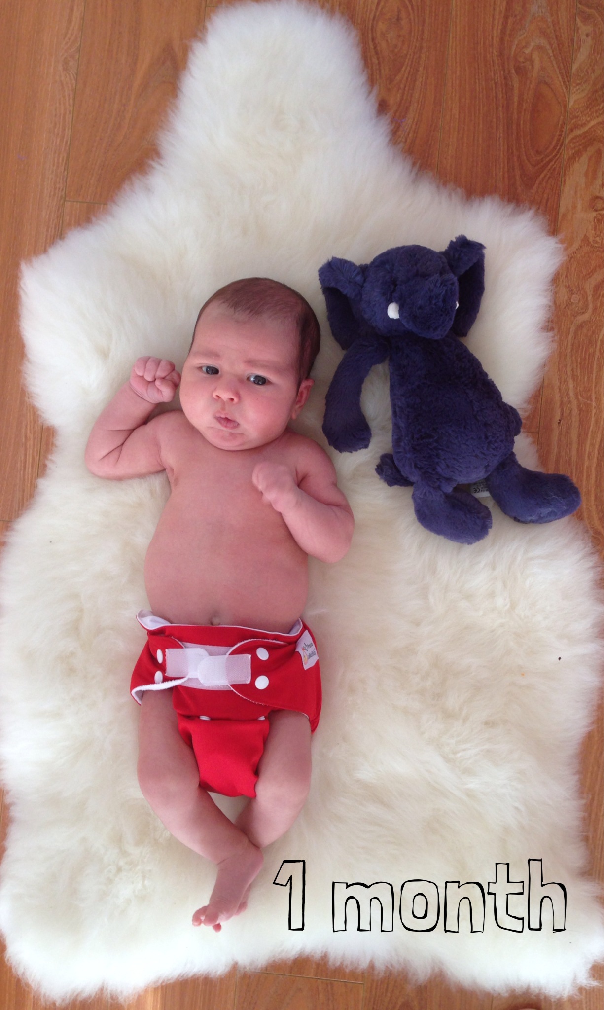 lou-1-month.jpeg