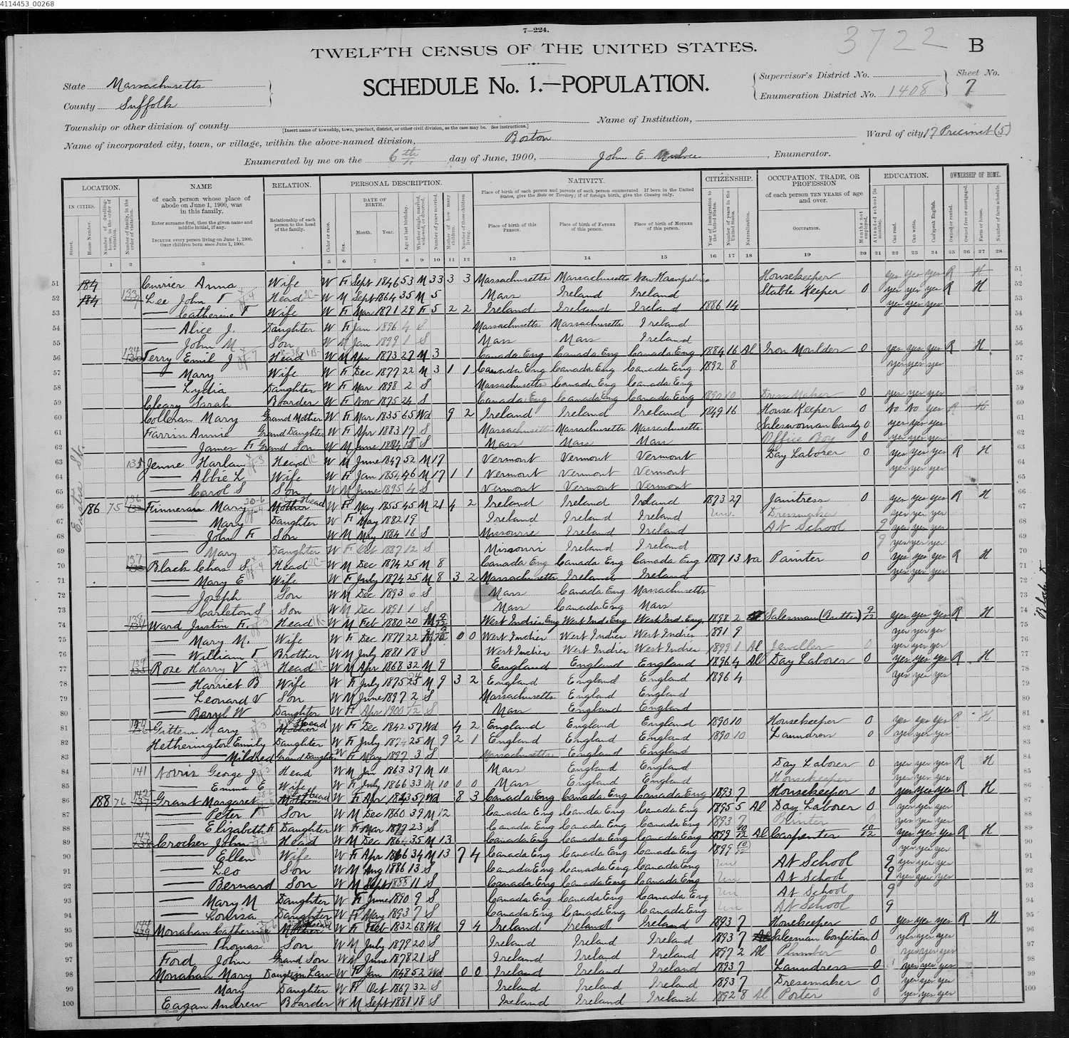 mary_gittens_1900_census.jpg