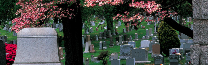 the-evergeeen-cemetery-brooklyn.jpg