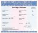 M-2_Gittens_Crittenden_Marriage_Certificate.jpg
