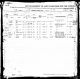 NewYorkPassengerLists18201957_292119910(1).jpg
